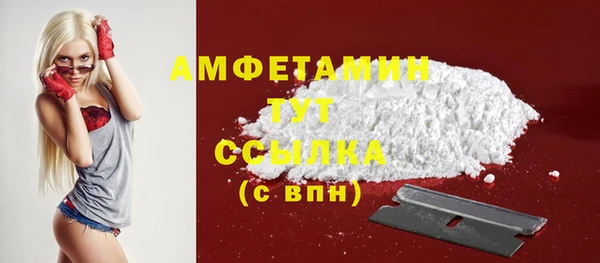 гидра Мегион