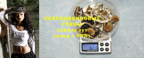 ALPHA PVP Медвежьегорск