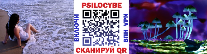 Галлюциногенные грибы Magic Shrooms  Купить где  Тюкалинск 